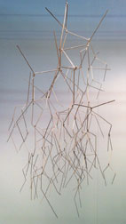 Beth Campbell Image