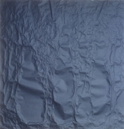 Curtis Mitchell Image